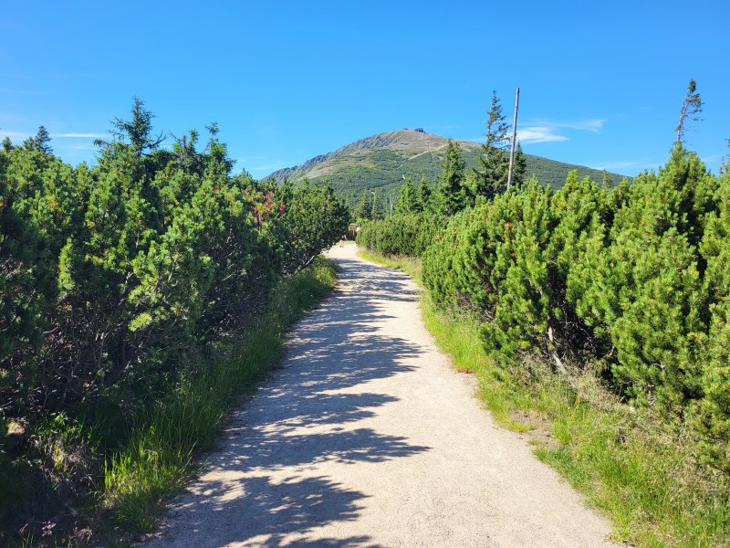 Sněžka and hiking